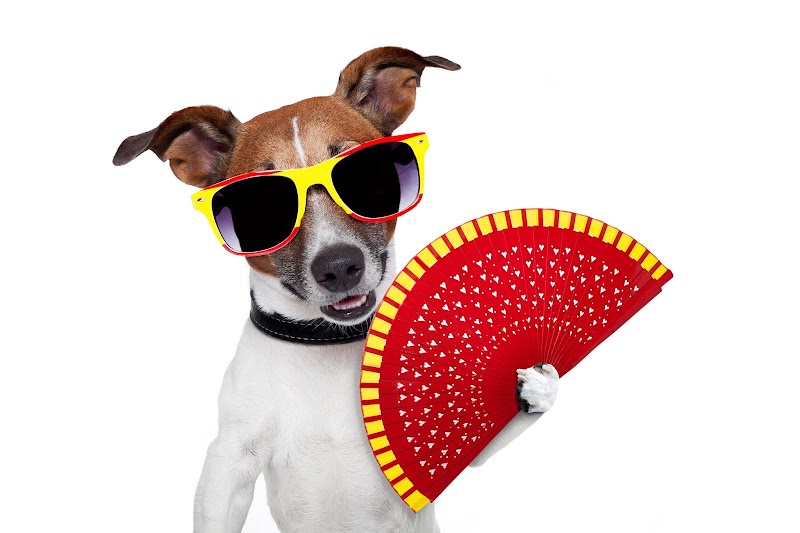 Air Environment, Inc. Heating & Cooling